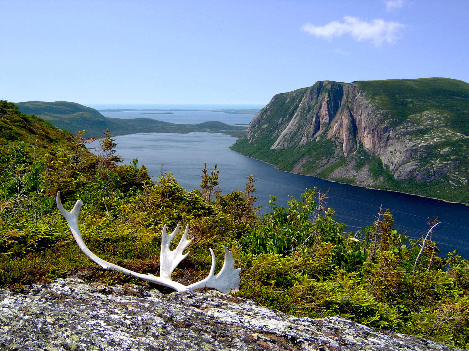 International Appalachian Trail