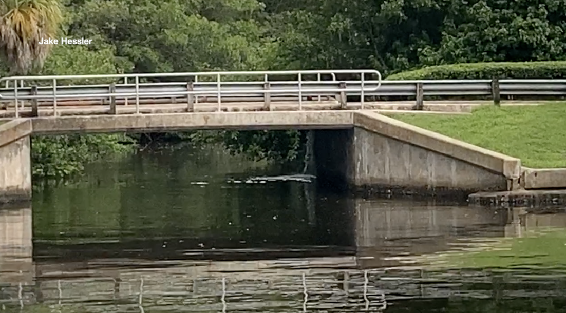 Screen Shot 2021-07-20 at 6.55.07 PM.png