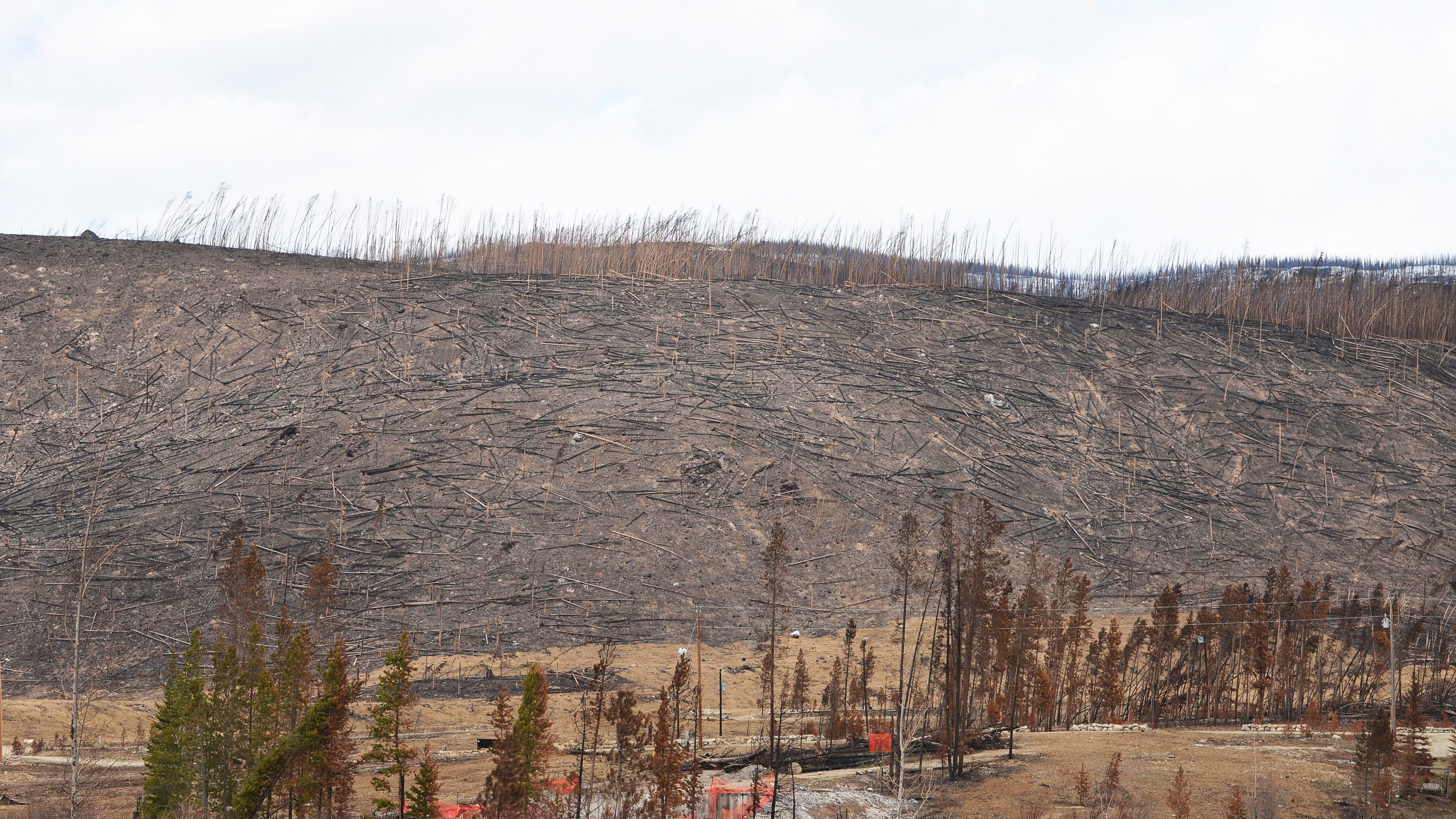 East Troublesome Fire burn scar, May 14, 2021