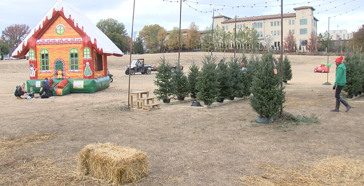 Cascia Hall Christmas tree lot fundraiser