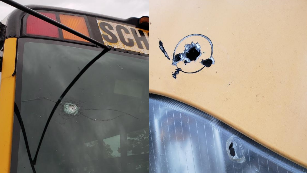 Untitled design (3).png