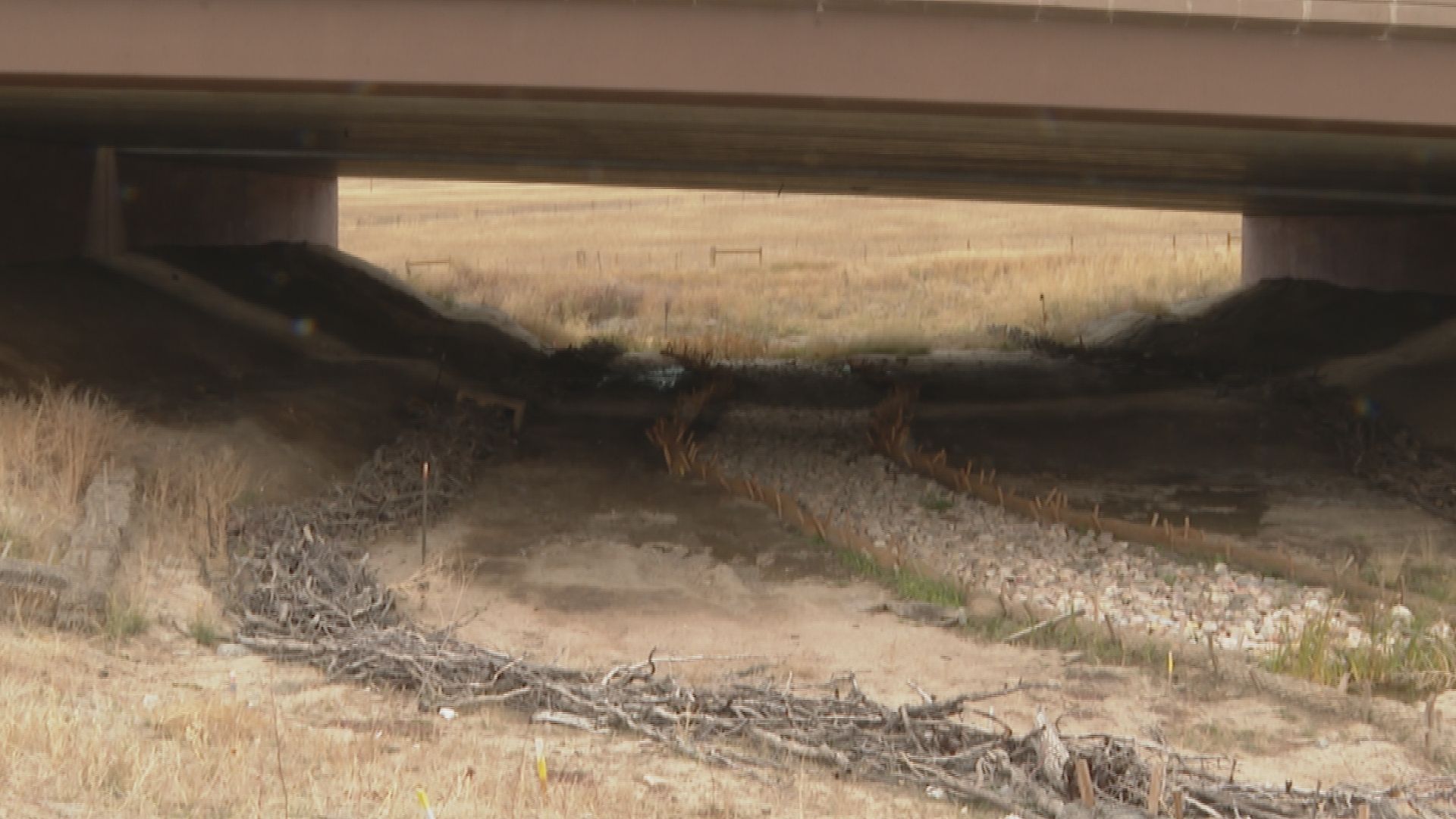Wildlife underpass I-25 Gap project