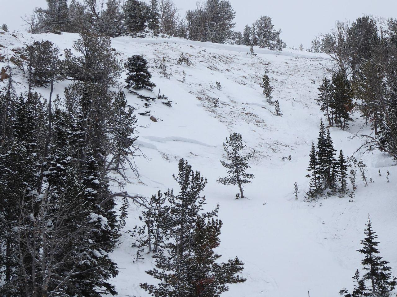 beehive basin avalanche.jpg