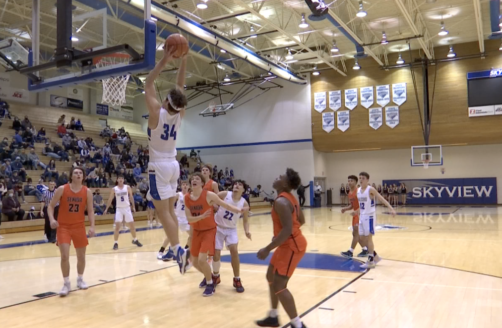 Skyview Senior BB.png