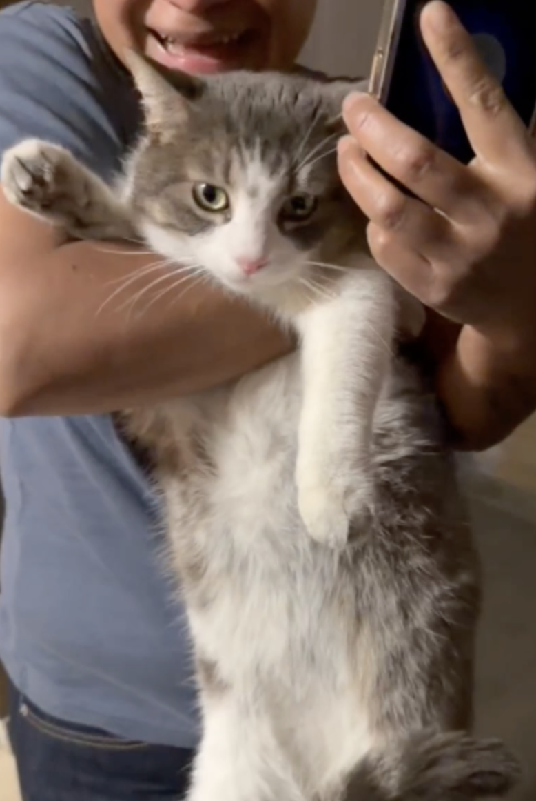 Family reunited with beloved cat after San Marcos apartment fire