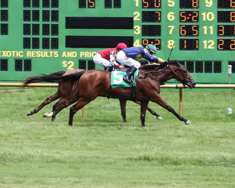 ENVIED - 07-05-19 - R05 - ELP - Finish 01.jpg