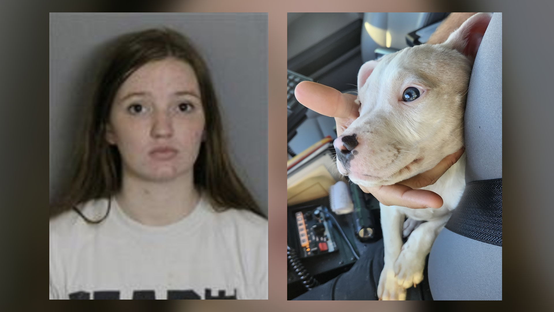 mug_pup.png