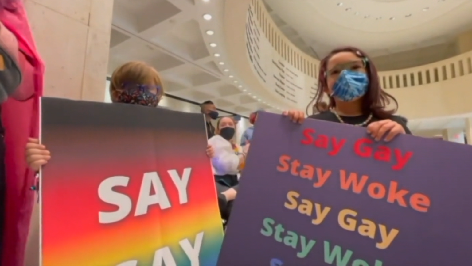 Opponents of Parental Rights Law. .png