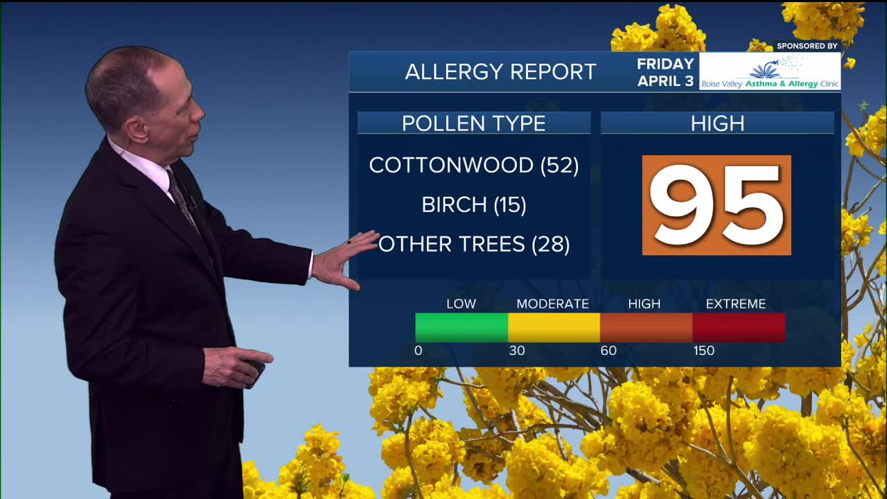 high pollen.jpg