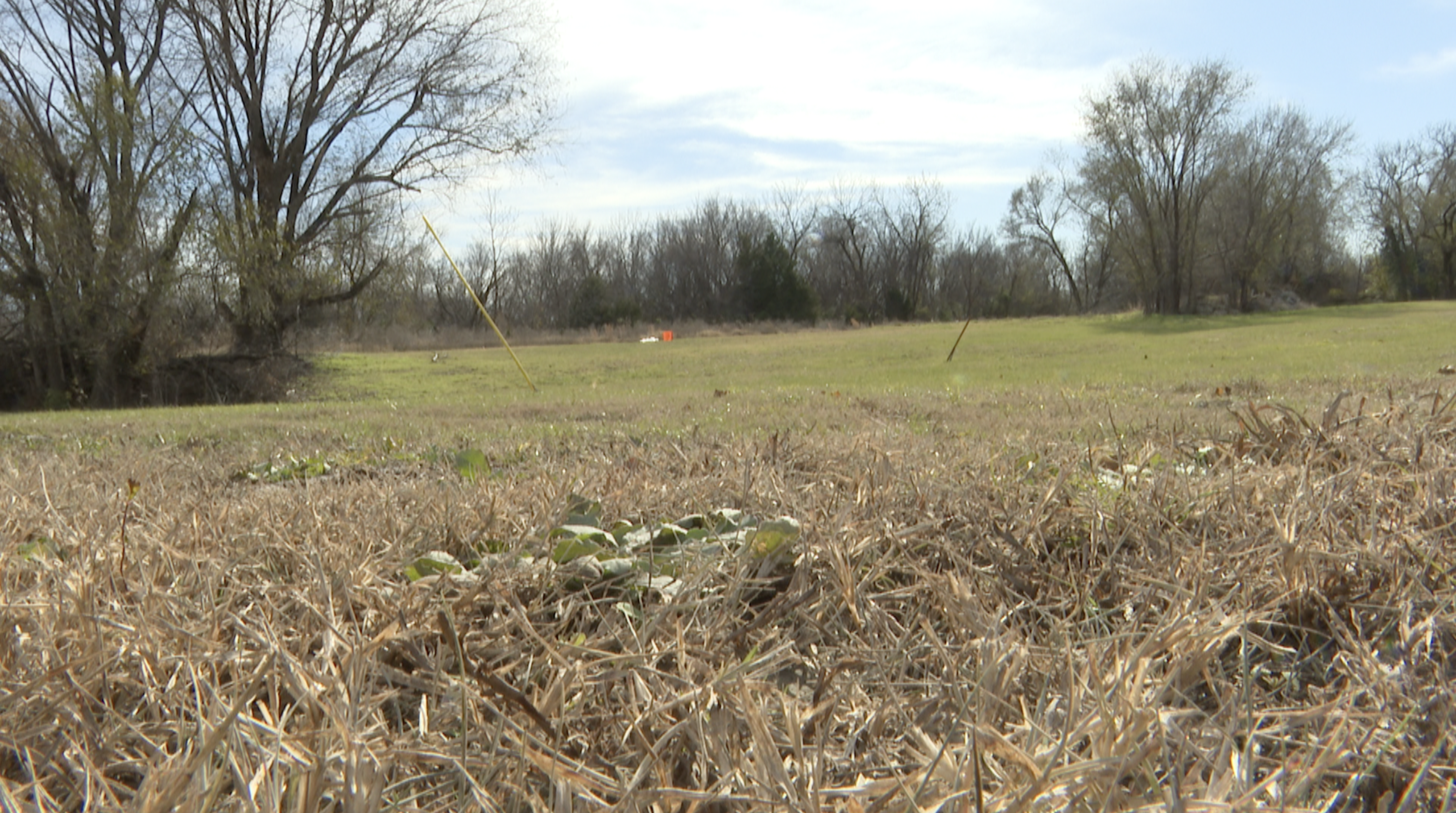 COLLINSVILLE NEW CITY PARK