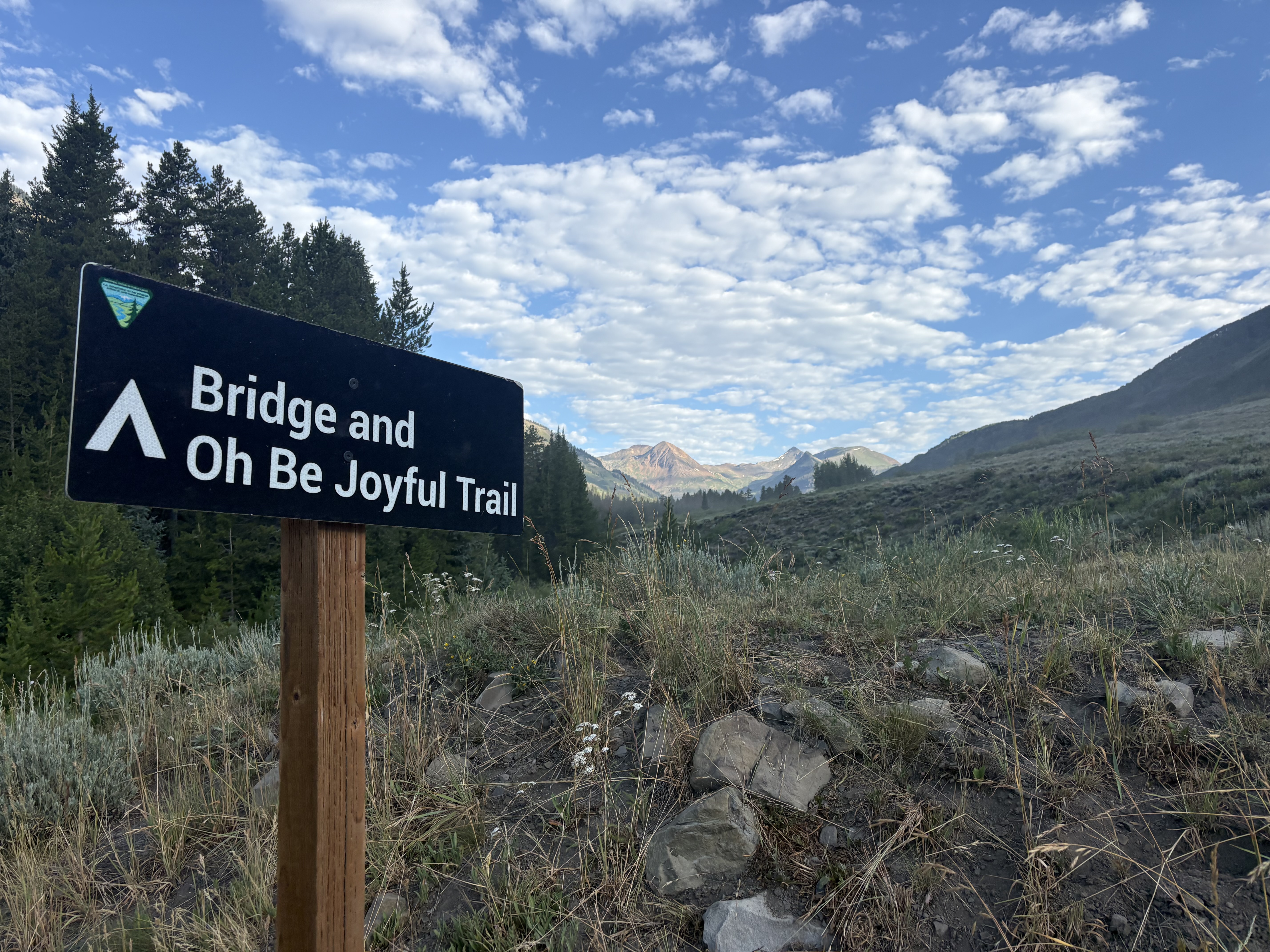 Wildflower hikes in Crested Butte: Oh-Be-Joyful Trail to Blue Lake