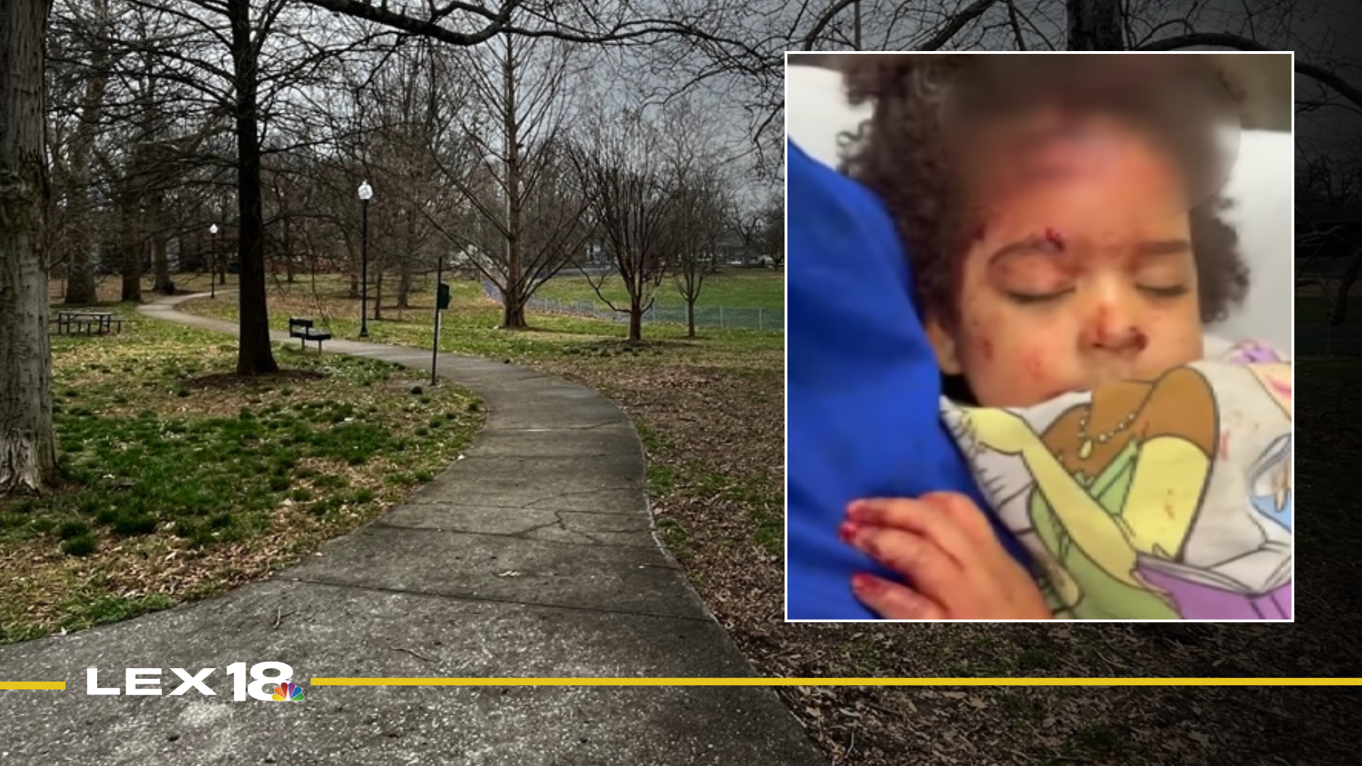 Featured Image Custom Edit (2).png