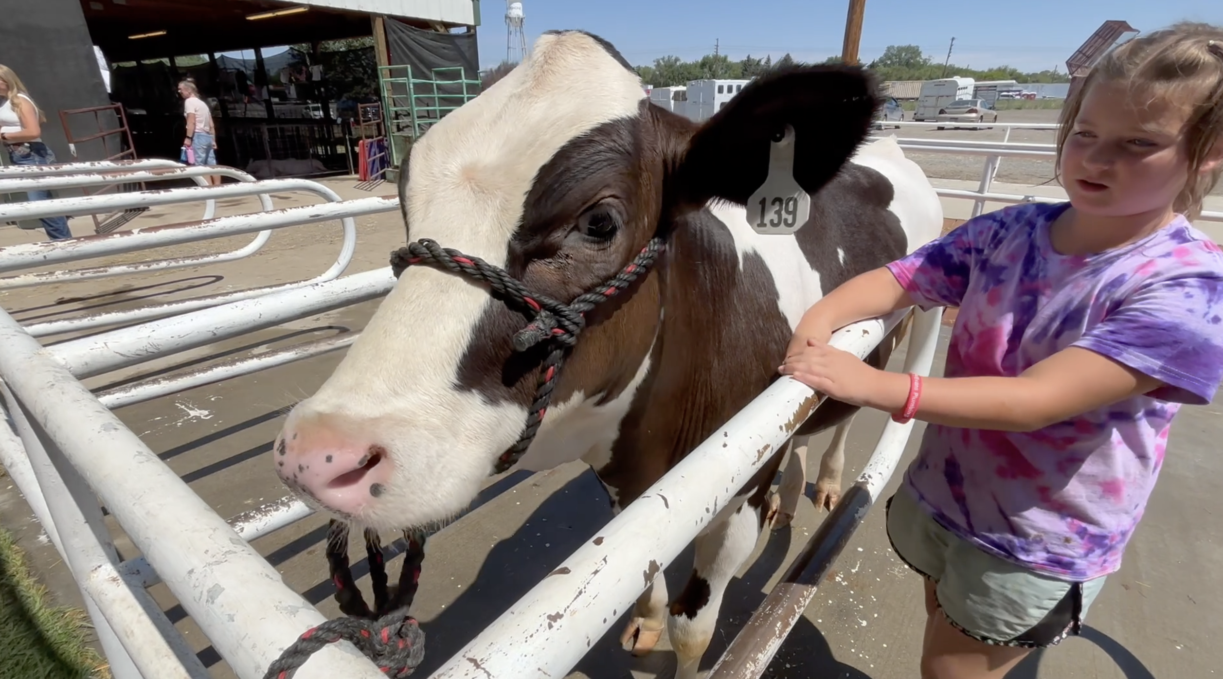 Fair season is here!