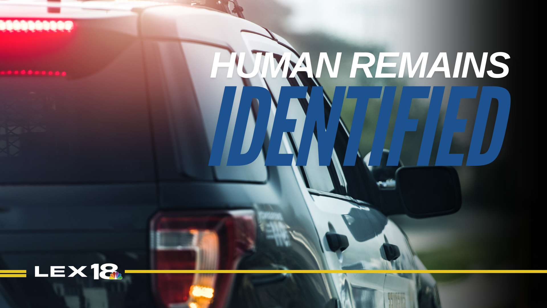 stock policecrash images for web (5).png