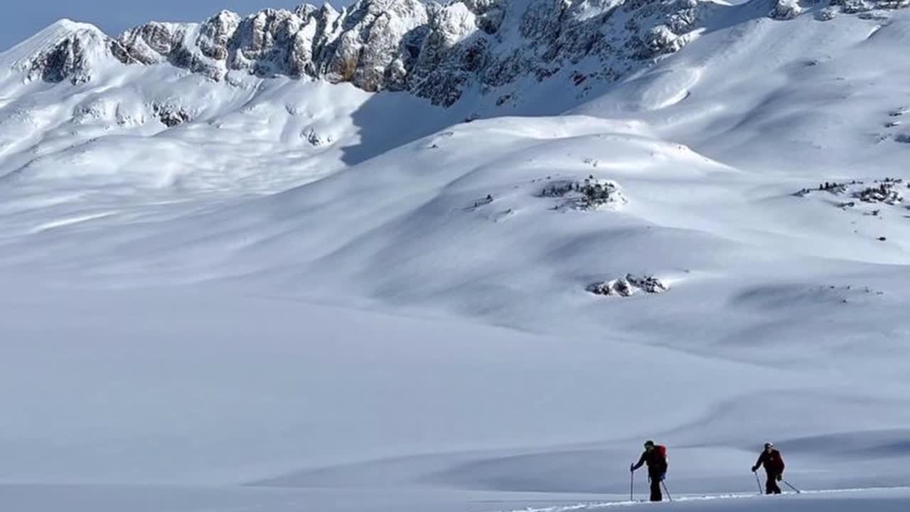 cooke city 