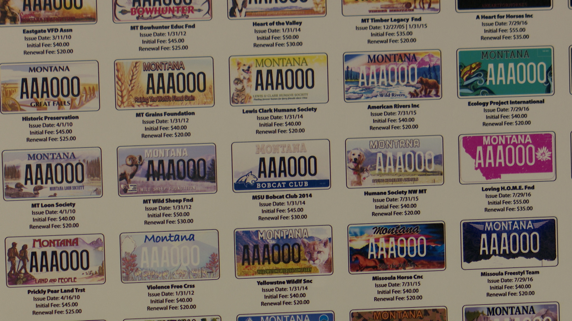 License Plates.jpg