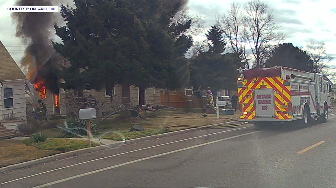 ontario fire dogs dead.png