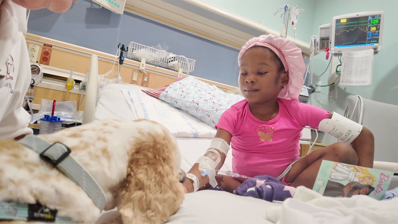 HCA Palms West therapy dogs