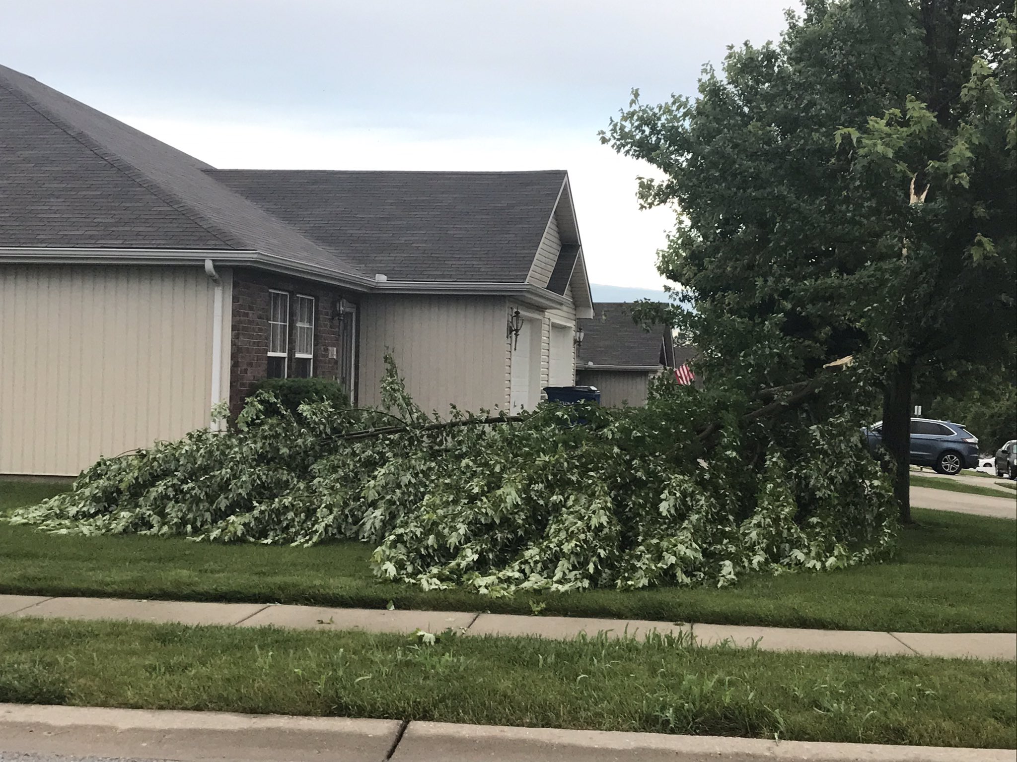 Blue Springs Damage.jpeg