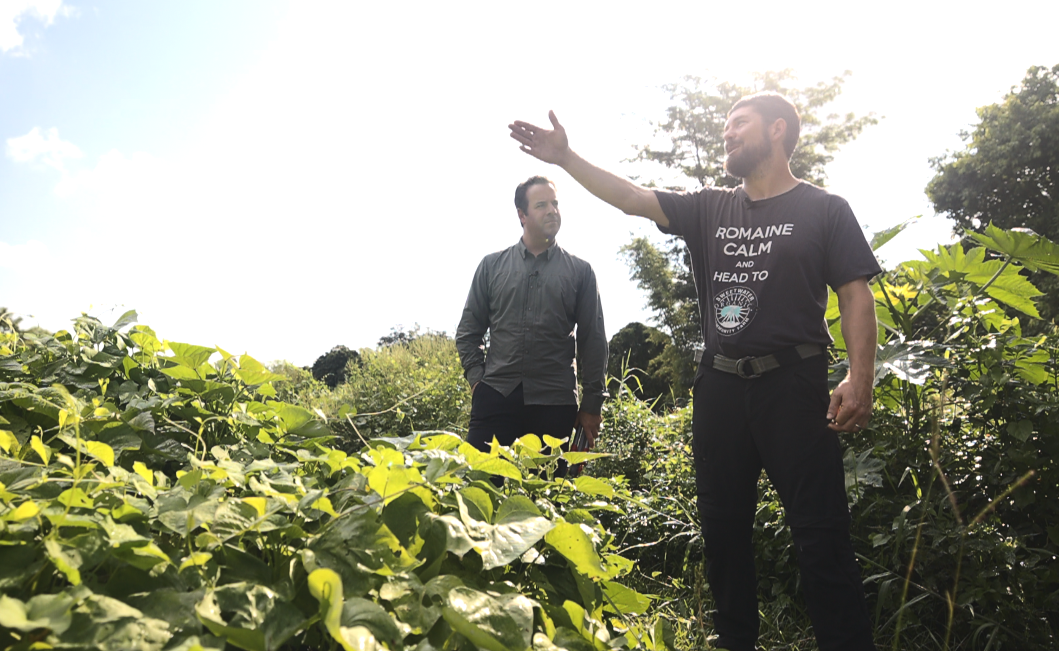 Chris Kenrick at Sweetwater Organic Community Farm.