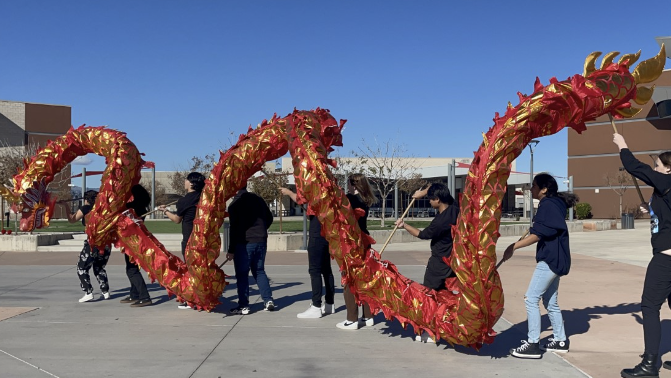 lunar year 