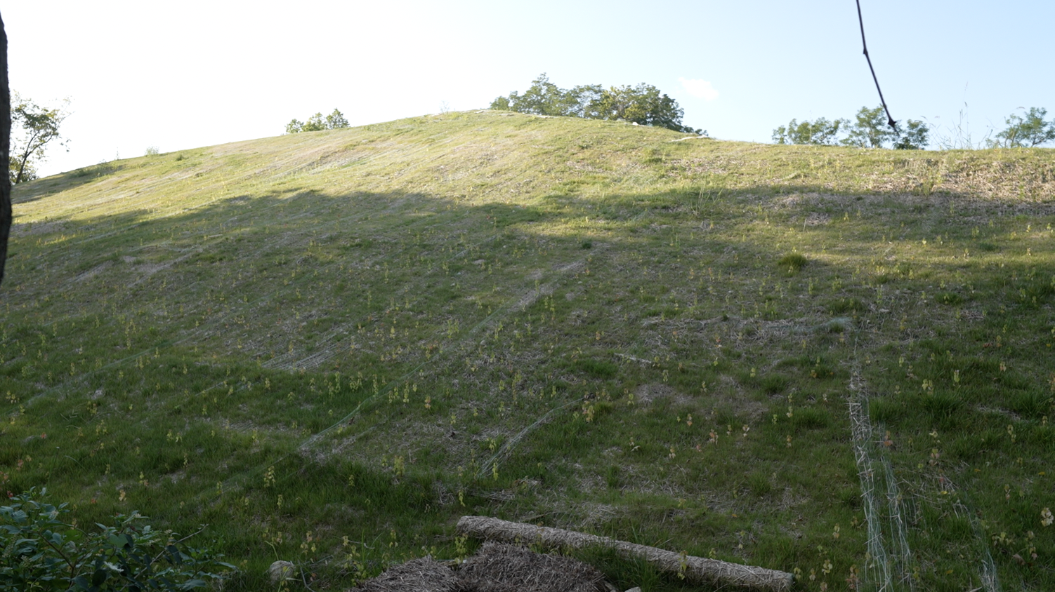 Colerain earthen mound