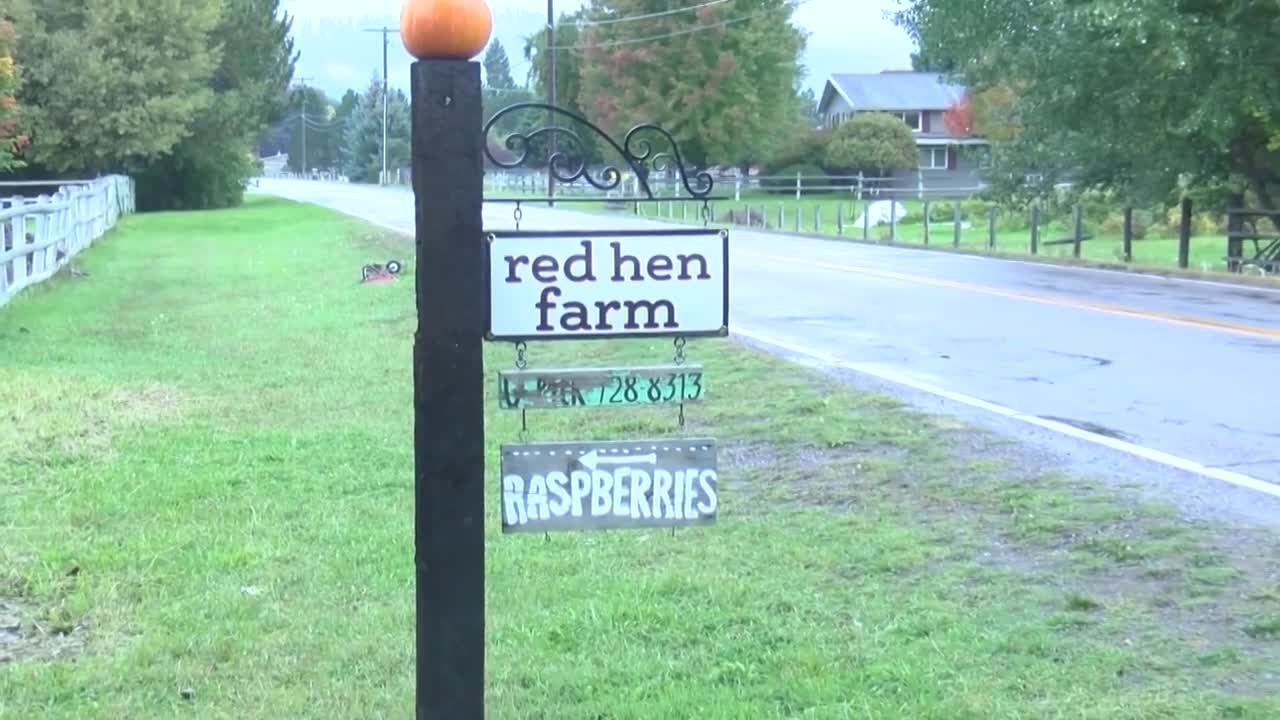 red hen farm