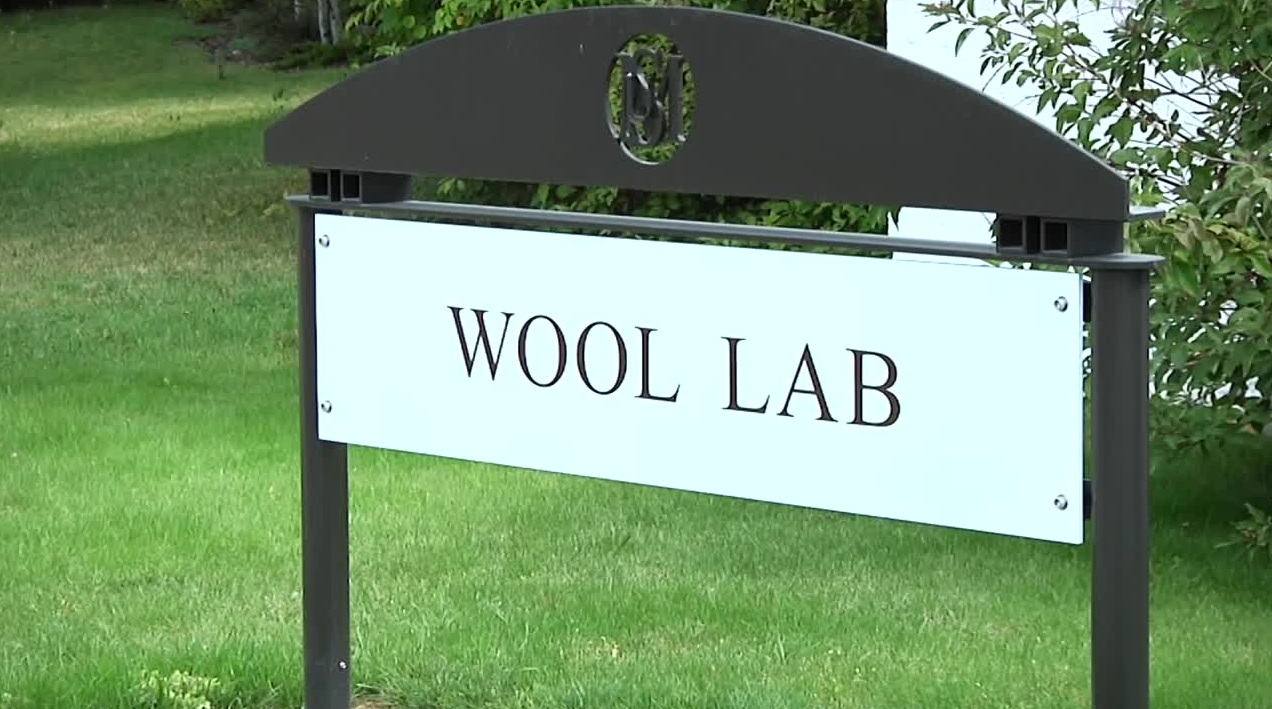 woollab2.PNG