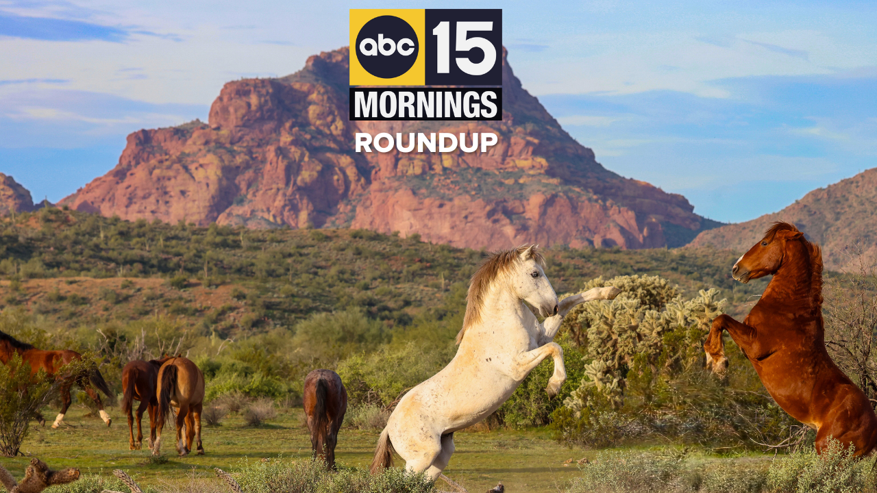 YOUR A.M. NEWS BRIEFING.png