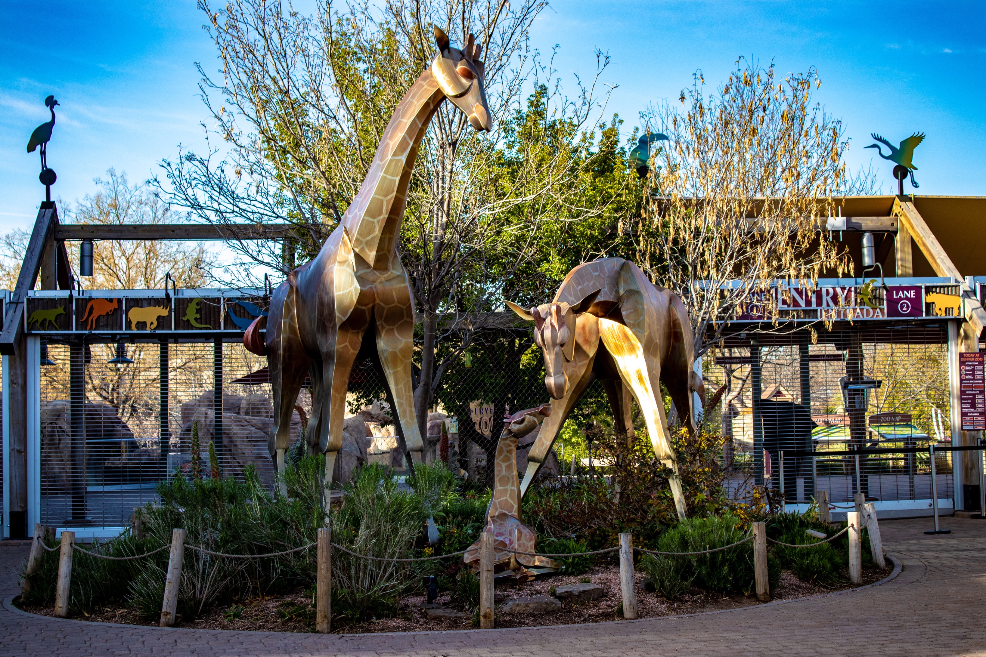 denver zoo_2023.jpg