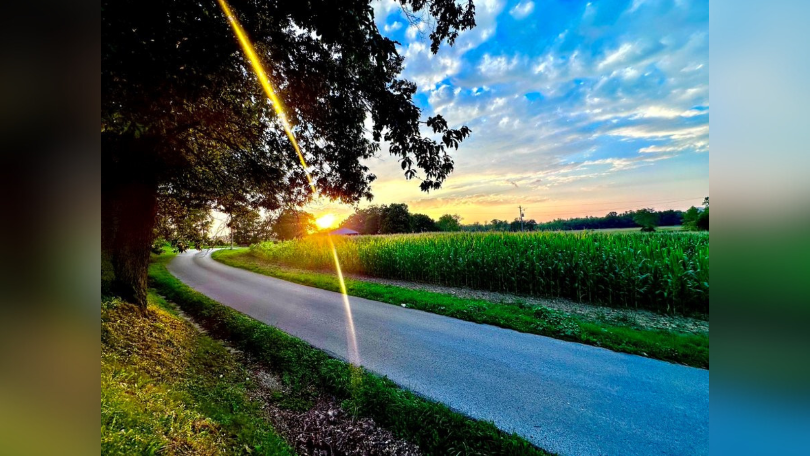 Untitled design (68).png