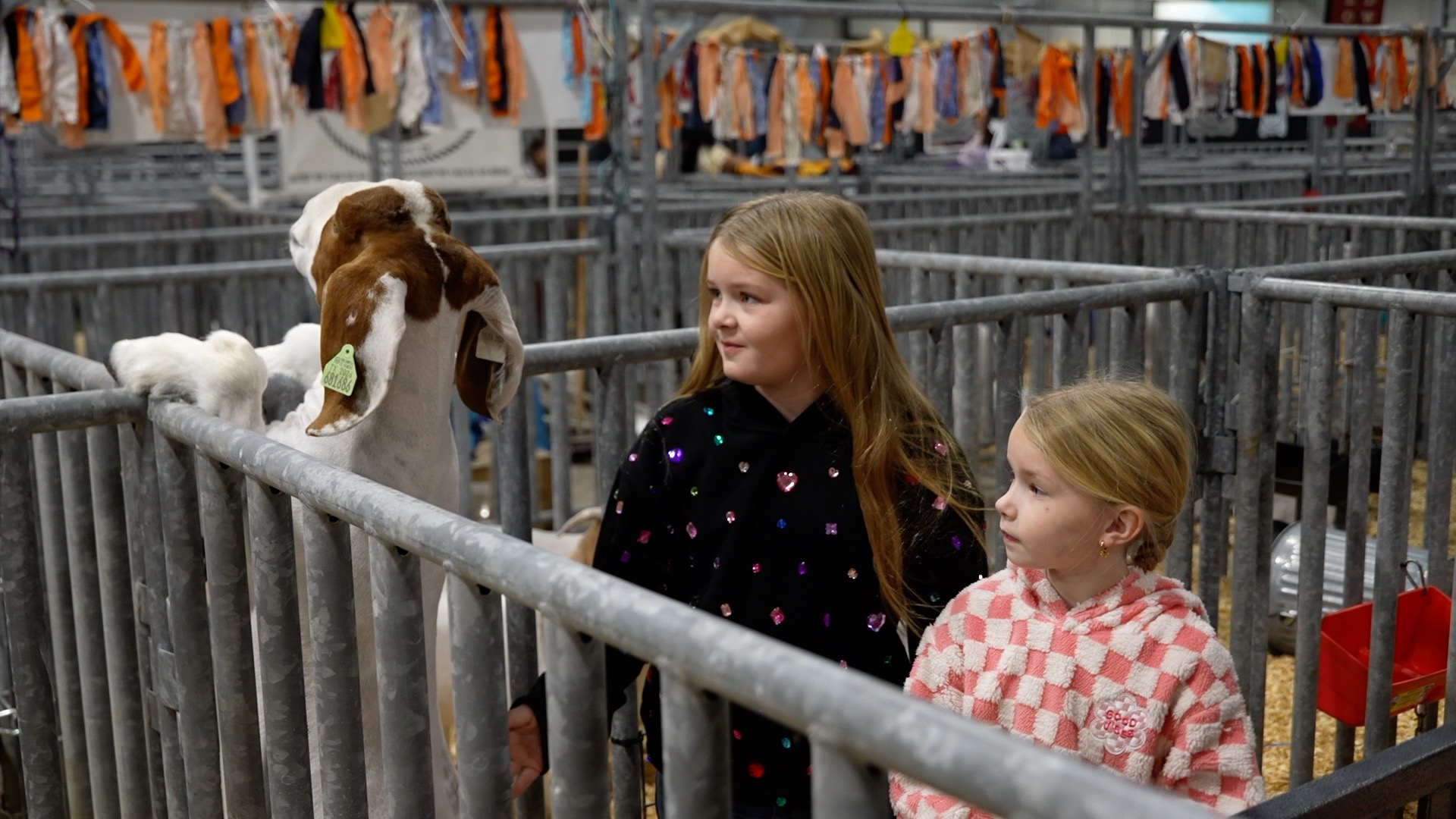 NCJLS competitors showcase sisterly bond through goat showmanship in Robstown.jpg