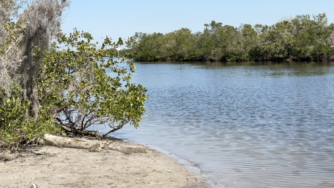 Local organization pushes for more protections of state parks