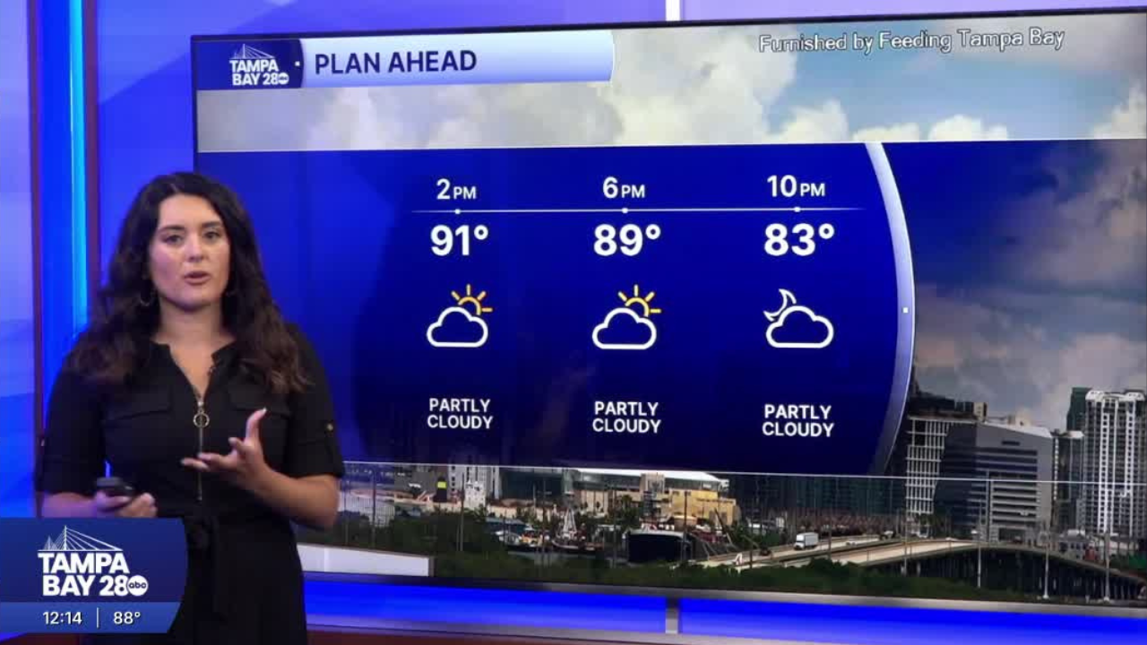 Forecast: Hot, mostly dry, with a few showers east