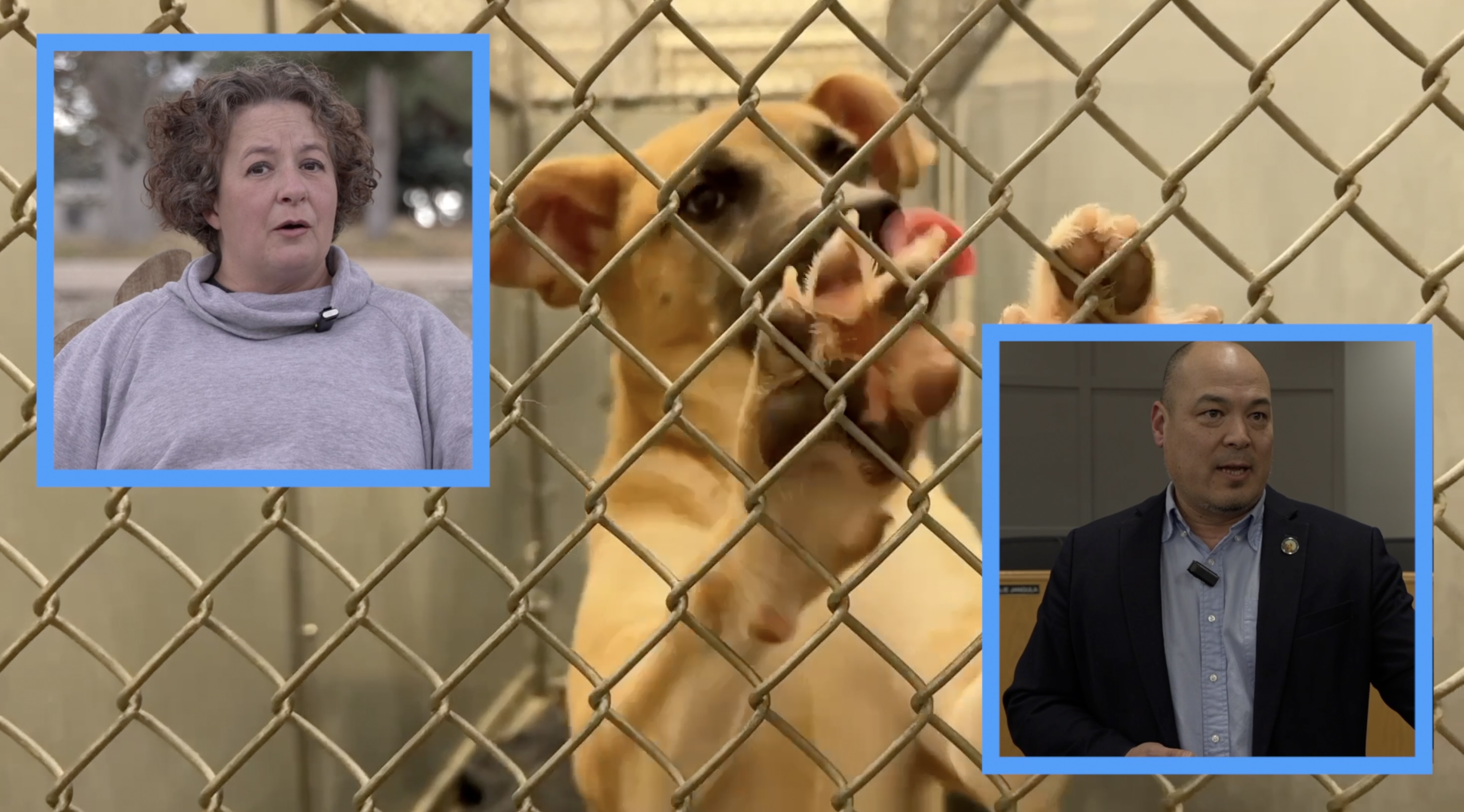 Screenshot 2026-02-13 at 4.10.21 PM.jpeg