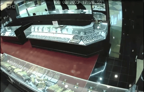 Citrus Park Mall Smash and Grab
