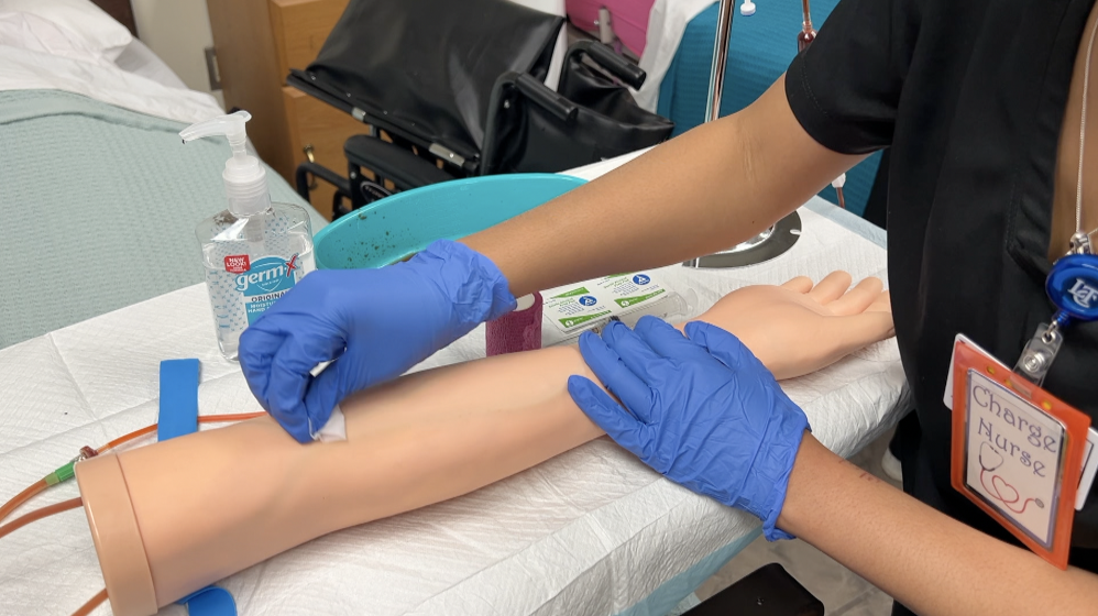 Students working with mannequins to practice drawing blood 