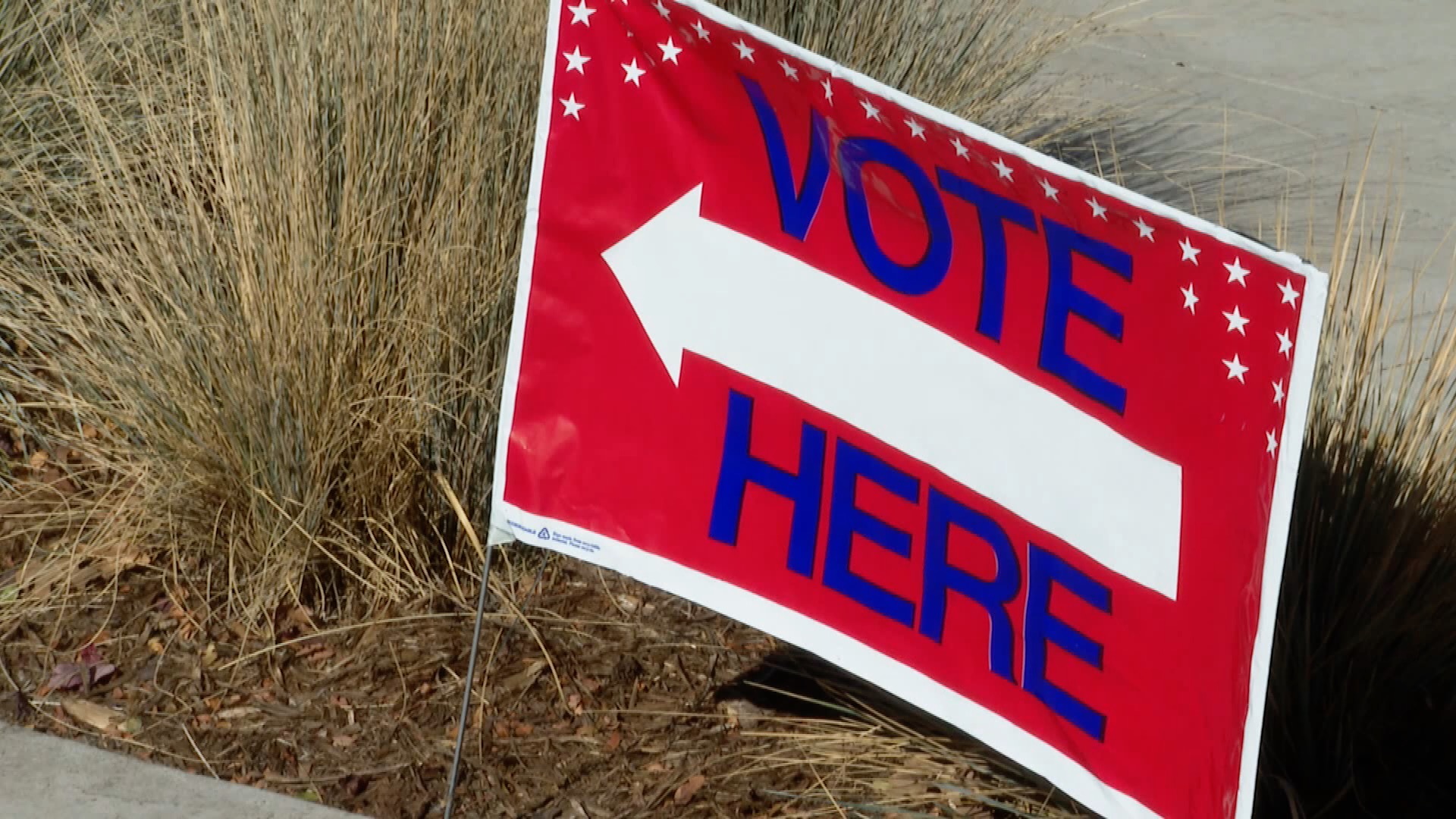 Lawsuit against open primaries