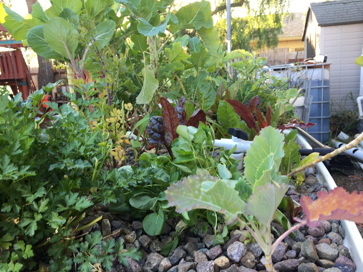 Poway family garden
