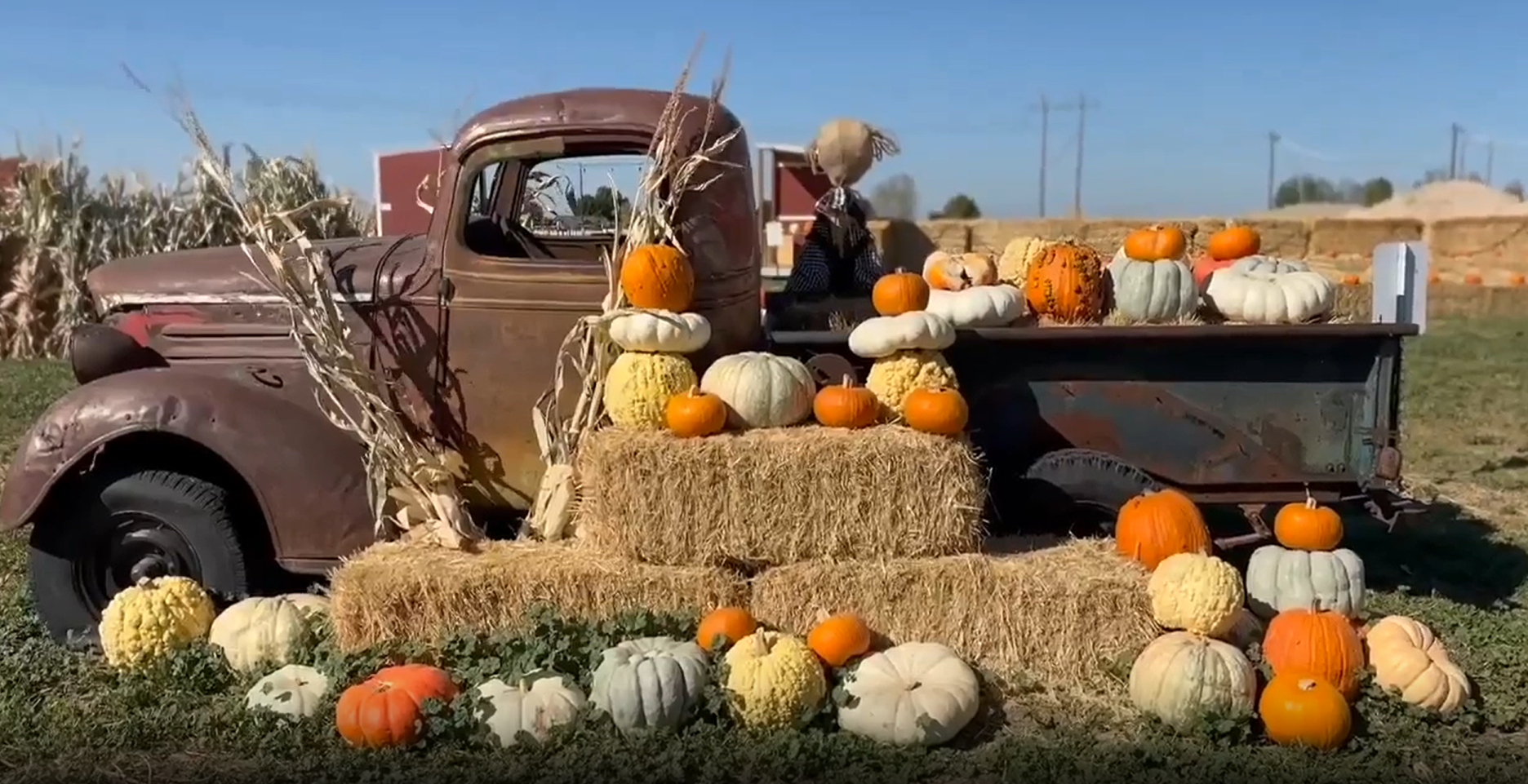 000000 farm at emmett.png