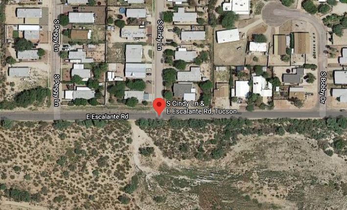 Javelina found dead on Tucson's east side