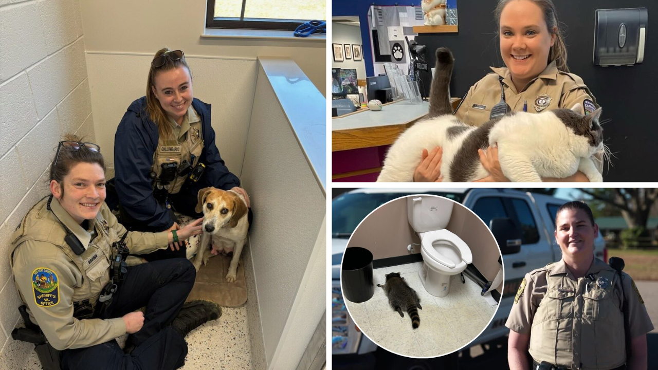 Celebrating National Animal Control Appreciation Week with unforgettable Virginia rescue stories