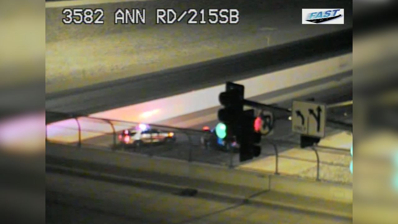 Pedestrian hit on 215