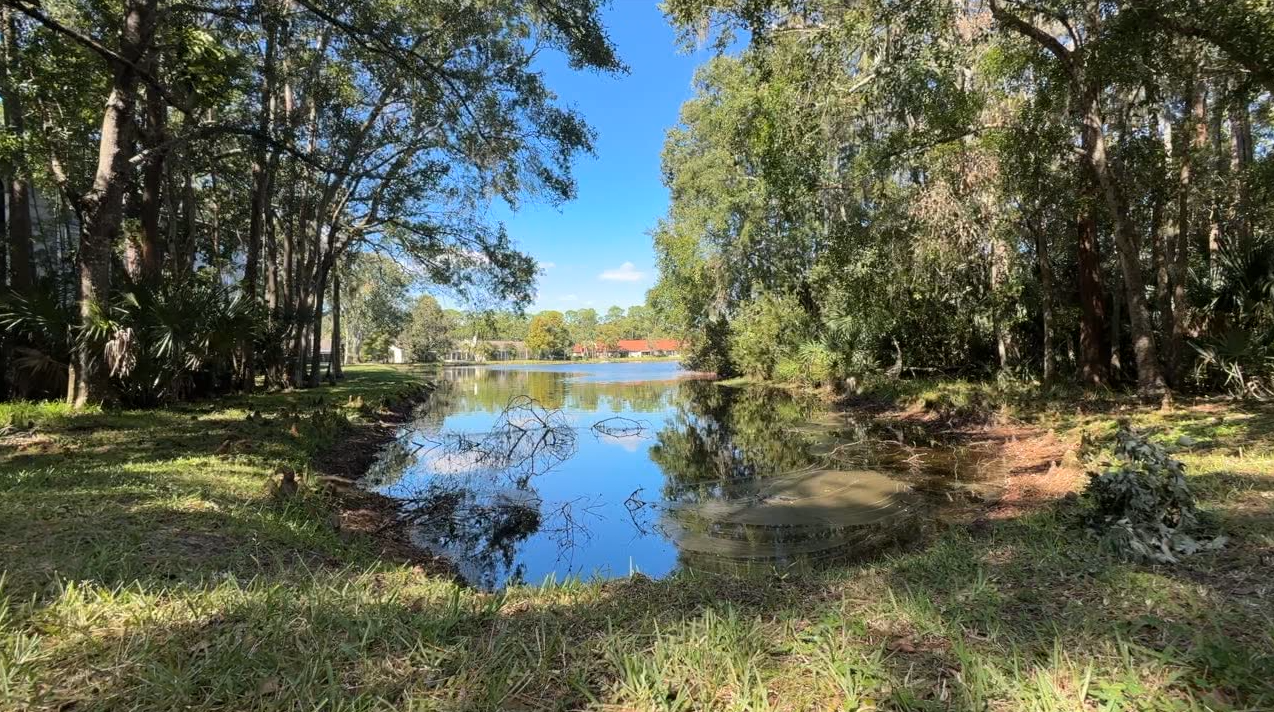 Death investigation after woman's body found in Palm Harbor Pond: FWC
