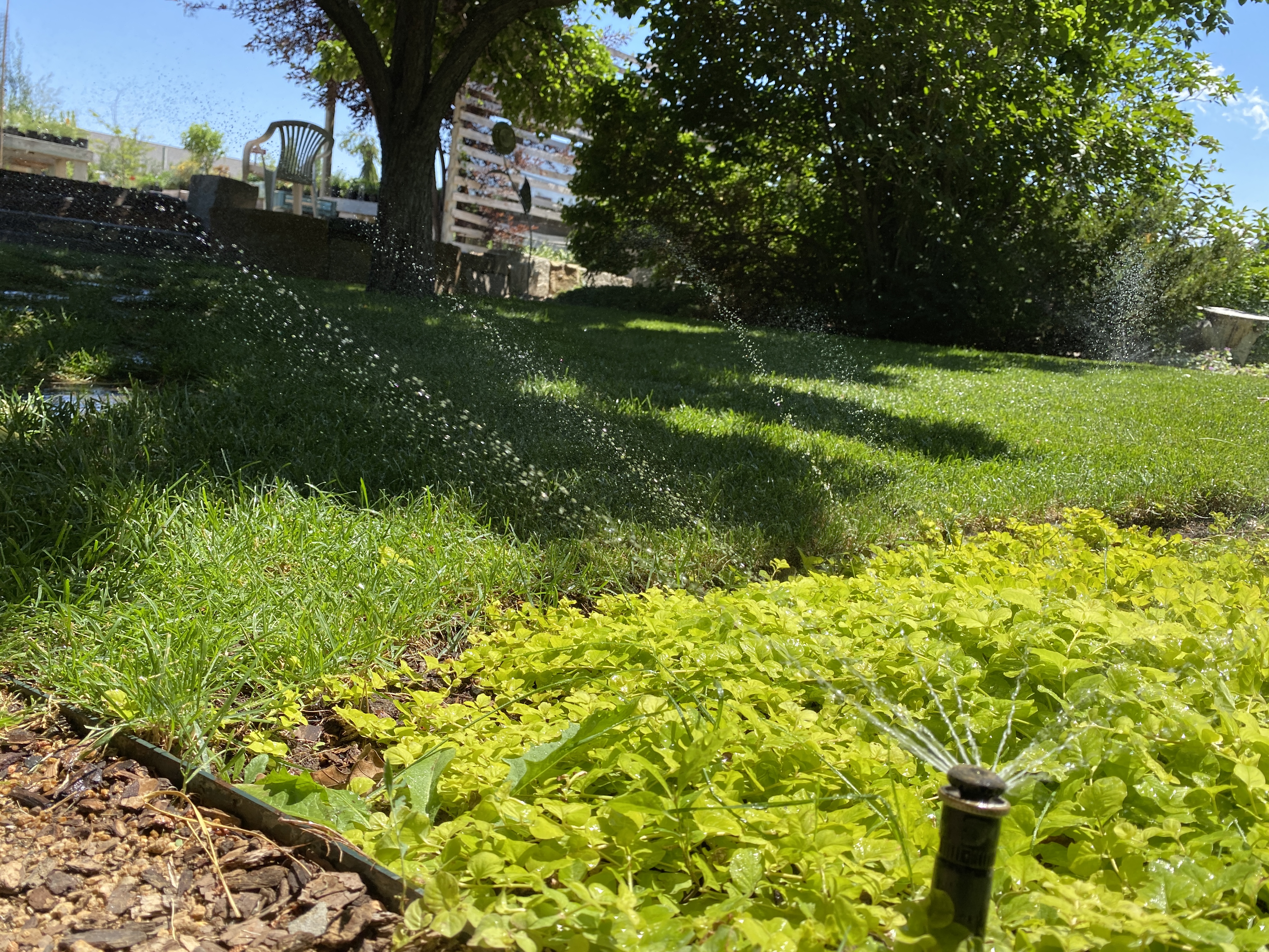 Water conservation tips: Xeriscaping