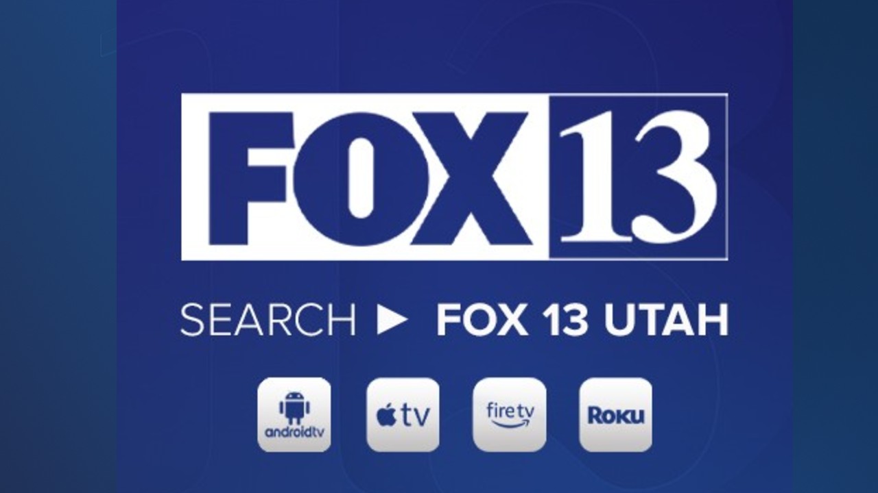 Search FOX 13.jpg