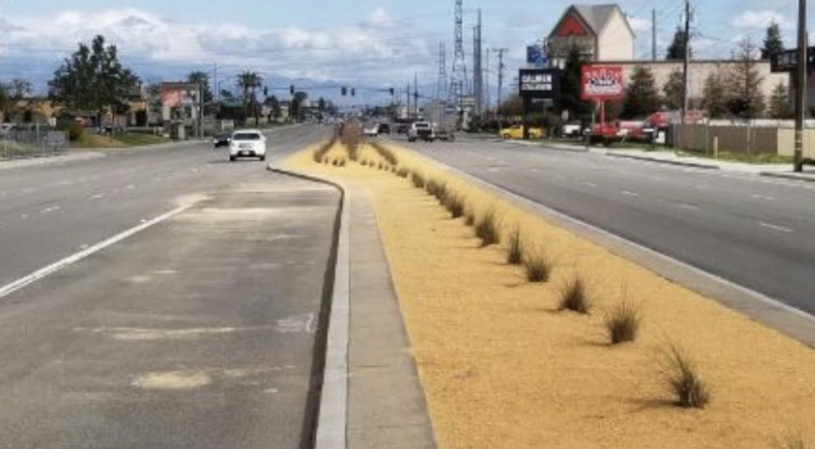 Xeriscaping on Rosedale Hwy