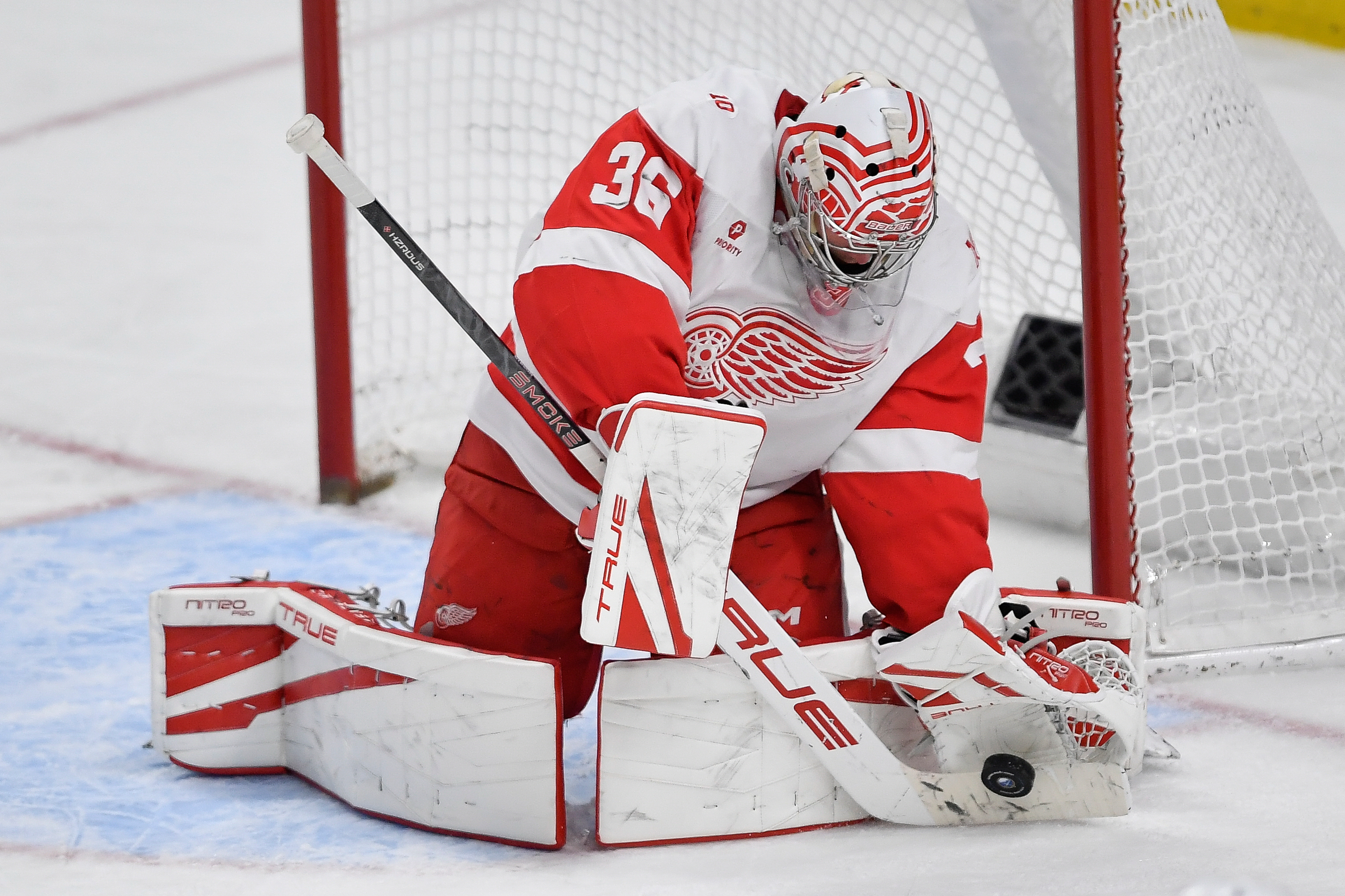 Red Wings Sabres Hockey