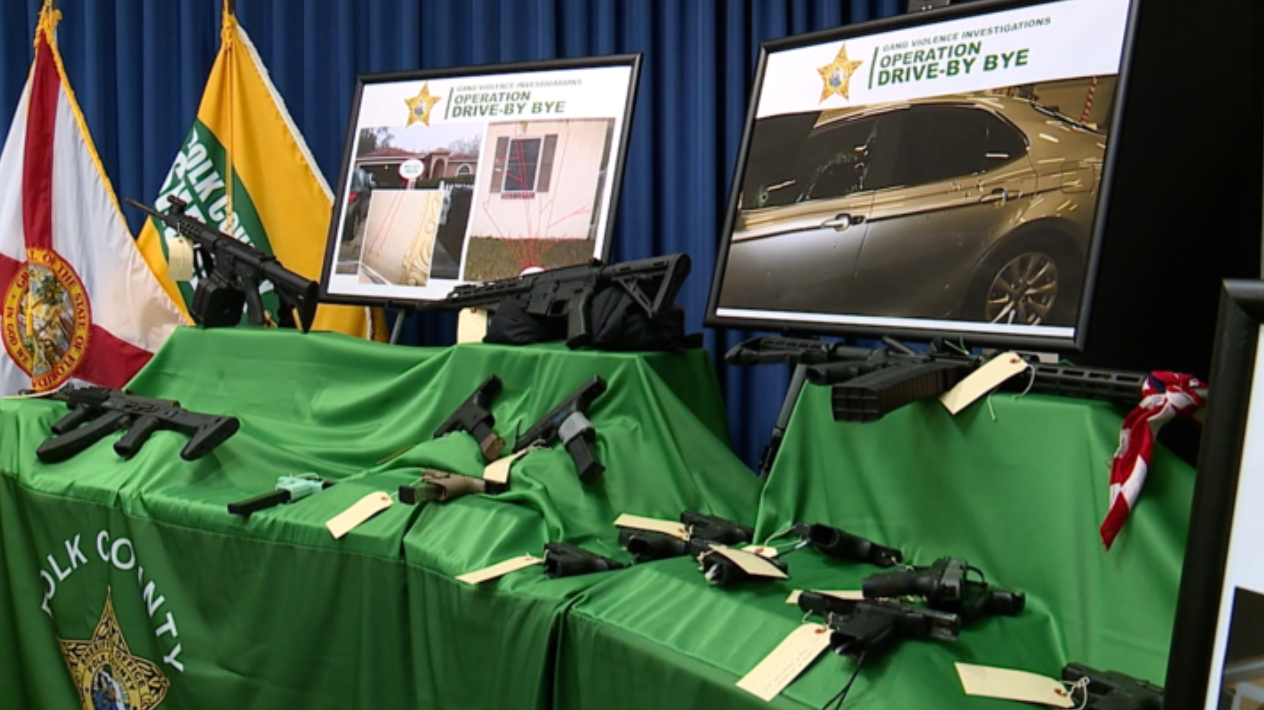 Polk County Sheriff Gang Task Force arrests