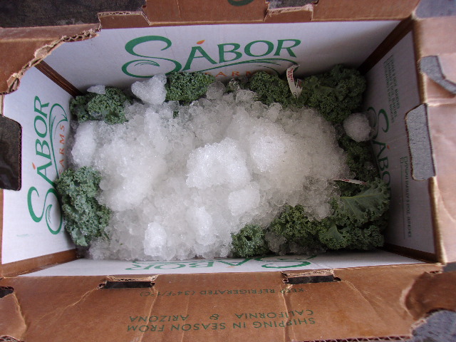 Meth in shipment of Kale cbp release 5-31-23